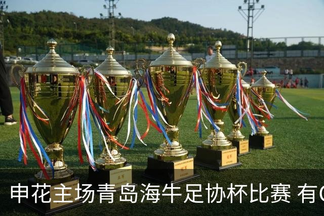 申花主场青岛海牛足协杯比赛 有CCTV5直播
