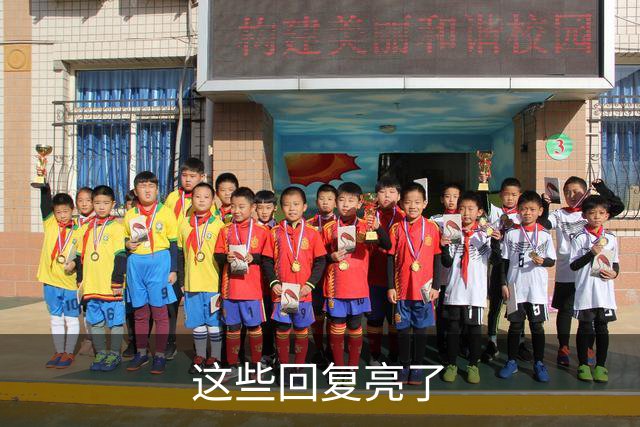 这些回复亮了